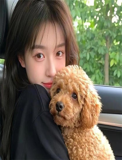 镣铐视频-甄子丹好莱坞新电影口碑获赞